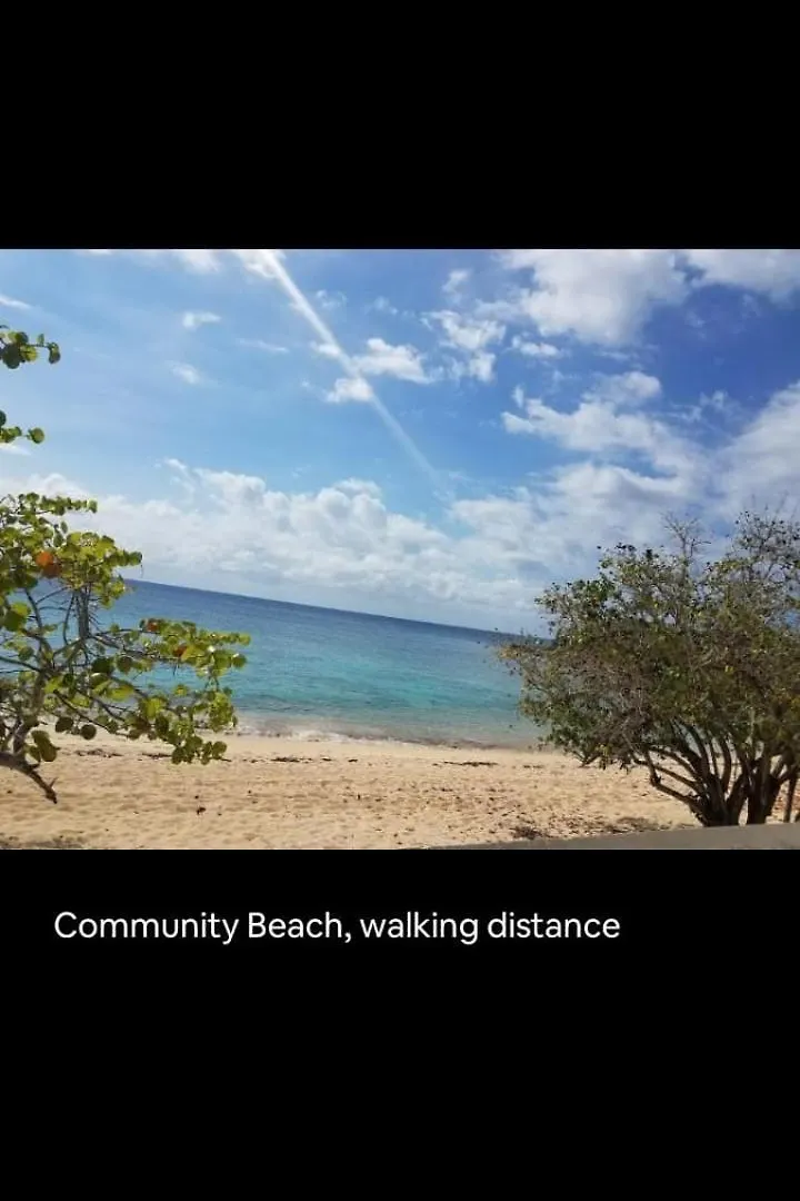 Alojamento de Turismo Selvagem Private Lodge, Cousin'S Cove Green Island Jamaica